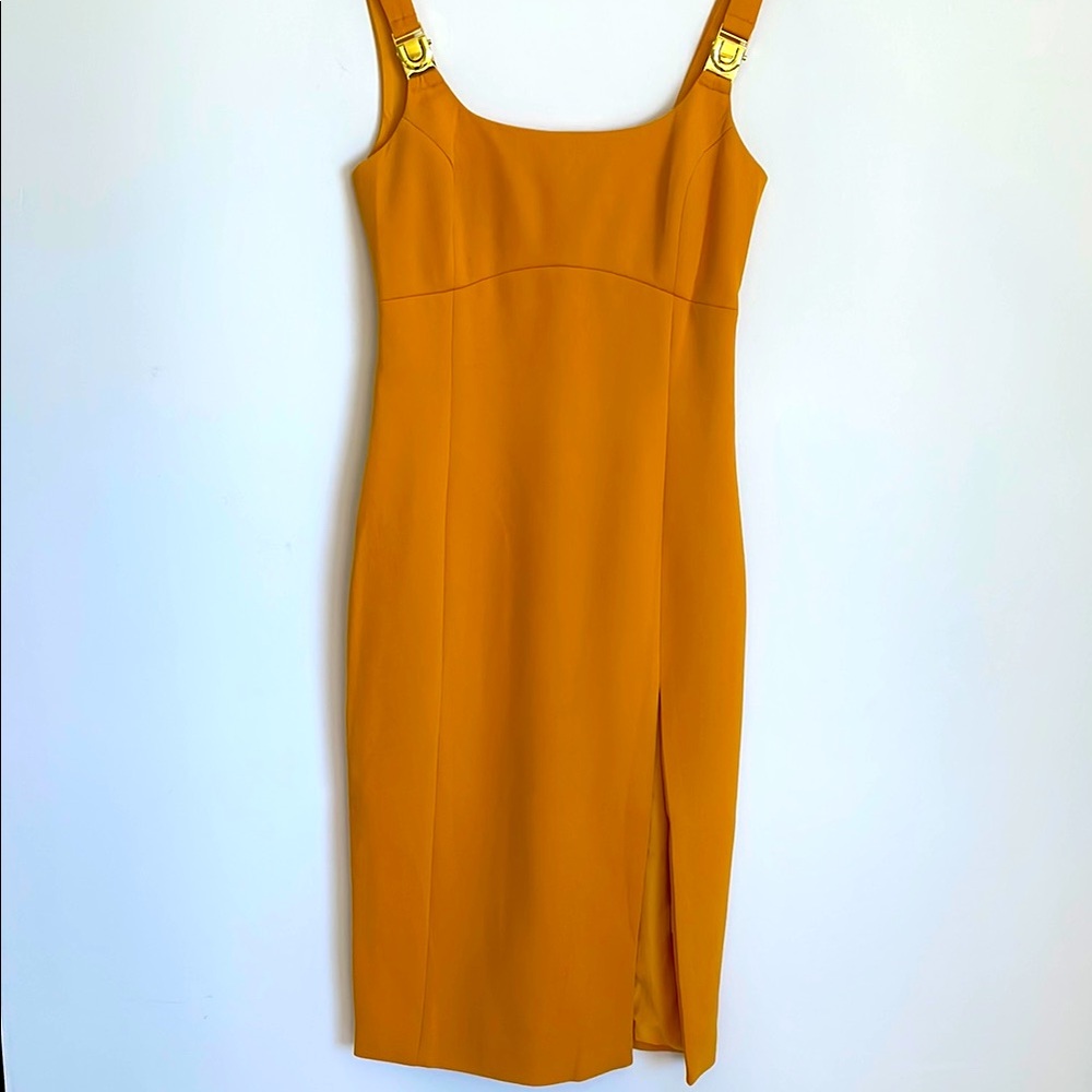 Elegant Mustard Yellow Dress